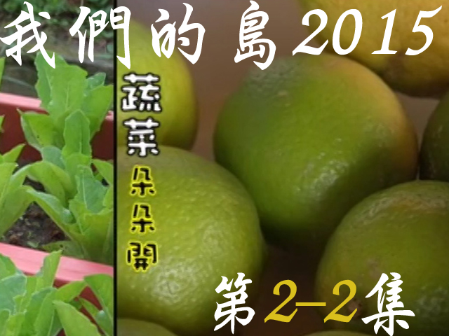 我們的島2015: 第2-2集--蔬菜朵朵開