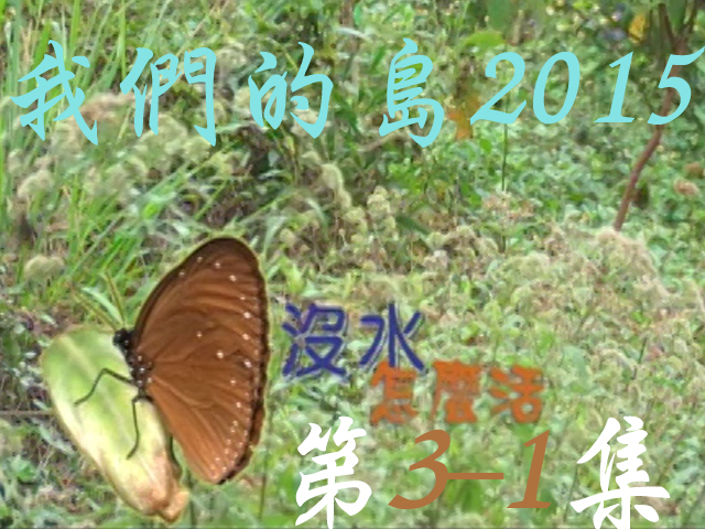 我們的島2015: 第3-1集--沒水怎麼活?