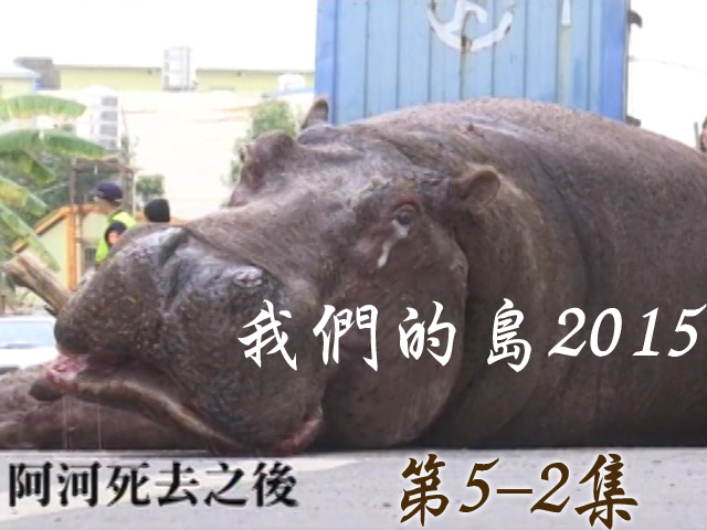我們的島2015: 第5-2集--阿河死去之後