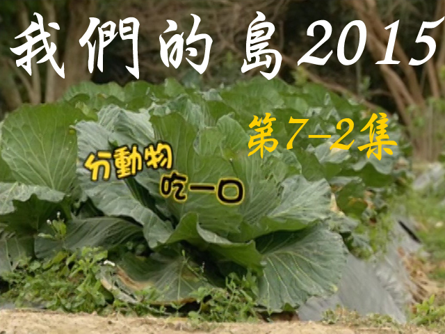 我們的島2015: 第7-2集--分動物吃一口