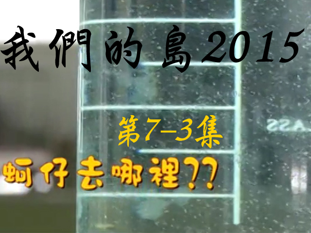 我們的島2015: 第7-3集--蚵仔去哪裡?
