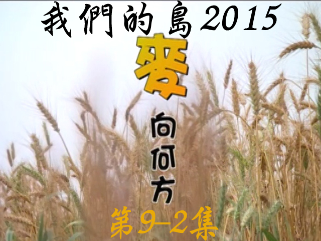 我們的島2015: 第9-2集--[麥]向何方