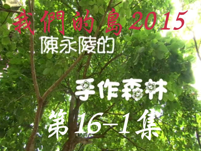 我們的島2015: 第16-1集--陳永陵的手作森林