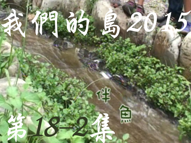 我們的島2015: 第18-2集--伴魚
