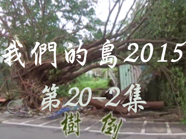 我們的島2015: 第20-2集--樹倒