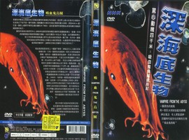深海底生物：吸血鬼烏賊